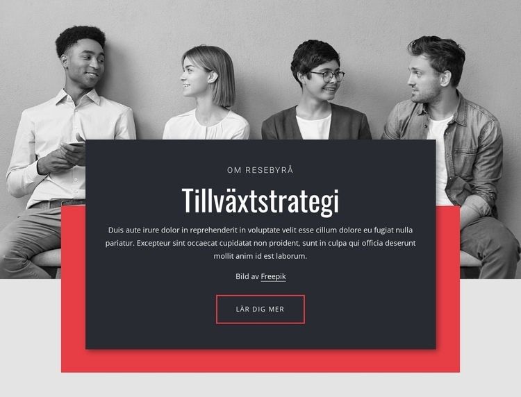 Tillväxtstrategier i näringslivet WordPress -tema