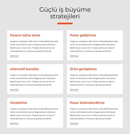 Güçlü Iş Stratejileri - HTML Ve CSS Şablonu