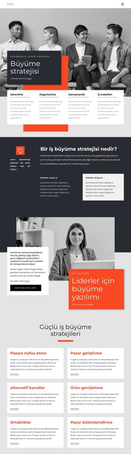 Büyüme Stratejisi Danışmanları HTML Şablonu