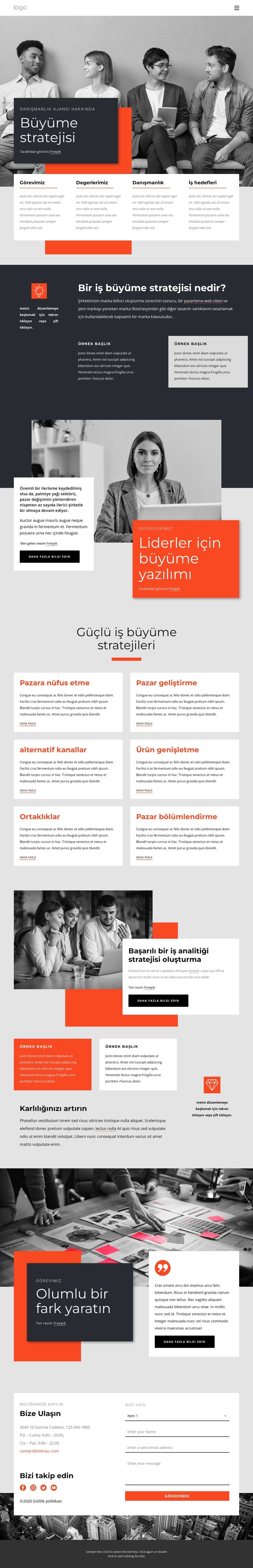Büyüme stratejisi danışmanları HTML Şablonu