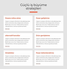 Güçlü Iş Stratejileri - Basit Joomla Şablonu