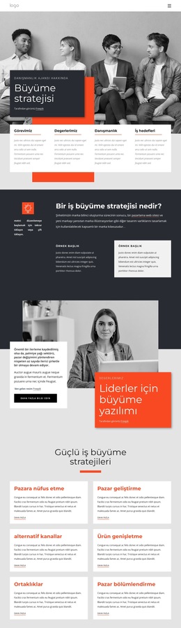 Büyüme Stratejisi Danışmanları - WordPress Ve WooCommerce Teması