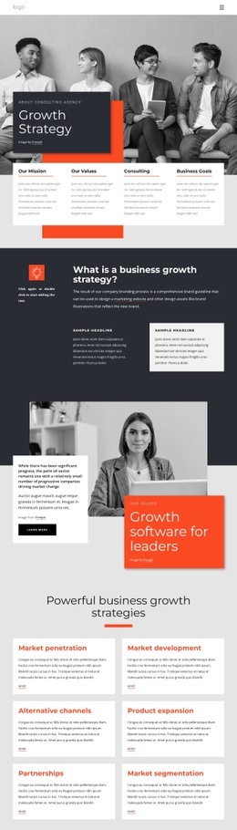 Growth Strategy Consultants - Free Download Web Page Design