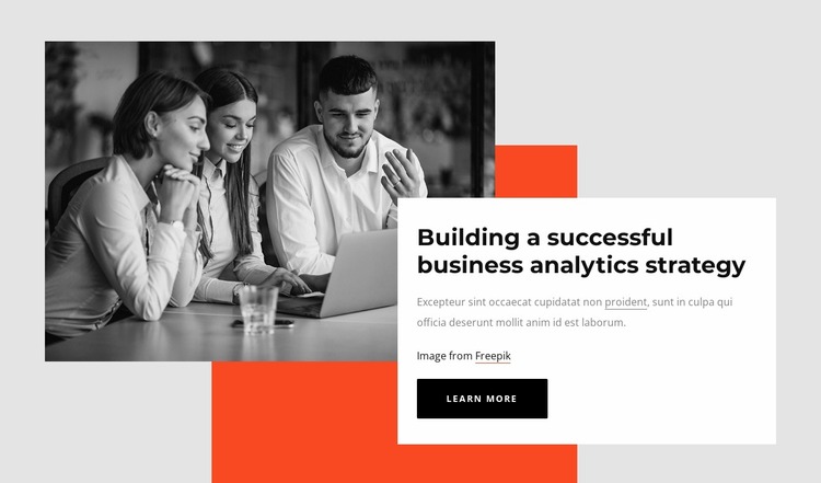 Successful business analytics strategy Website Mockup