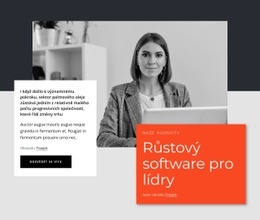 Ukázka Šablony Pro Růst Software LeadersEdit