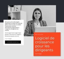 Leaders Des Logiciels De Croissance : Modèle D'Amorçage D'Une Page