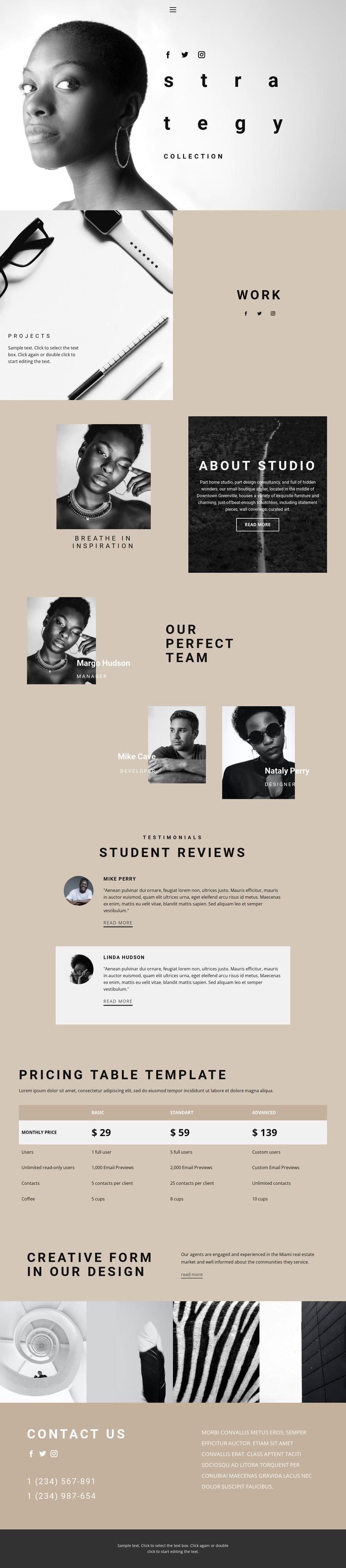 Strategy and grow HTML Template