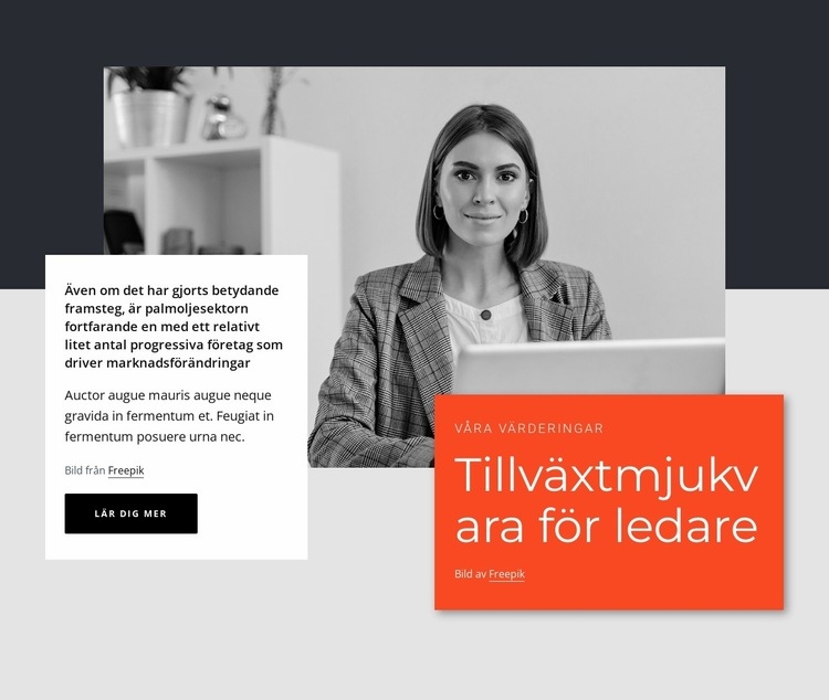 Ledare för tillväxtprogramvara Redigera CSS -mall