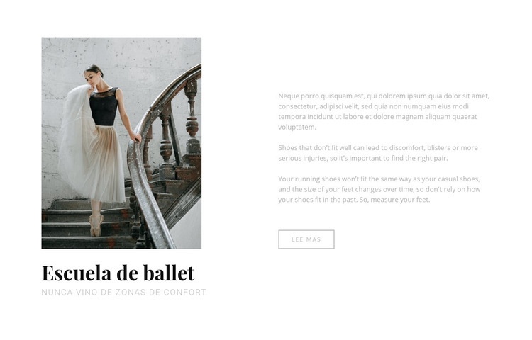Escuela de ballet y danza Diseño de páginas web