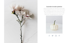 Natuur Details - Functionaliteit WordPress-Thema