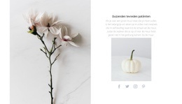 Natuur Details - Mockup-Inspiratie