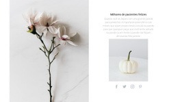 Design De Site Incrível Para Detalhes Da Natureza