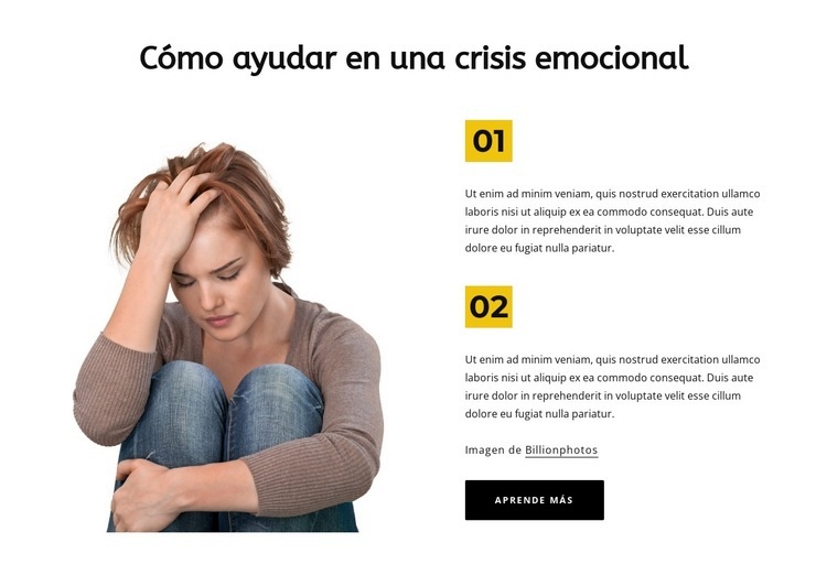 crisis emocional Maqueta de sitio web