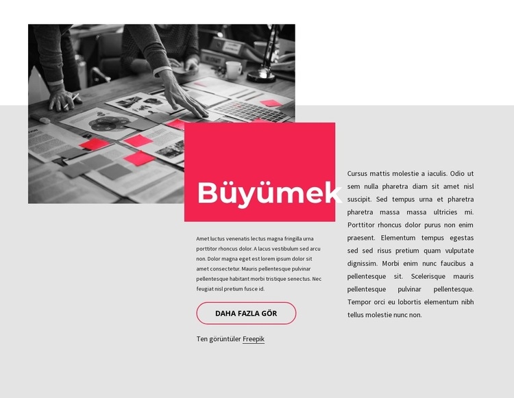 Küçük işletme danışmanlığı HTML5 Şablonu