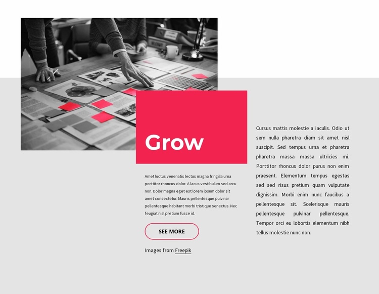 Small business consultancy Website Template