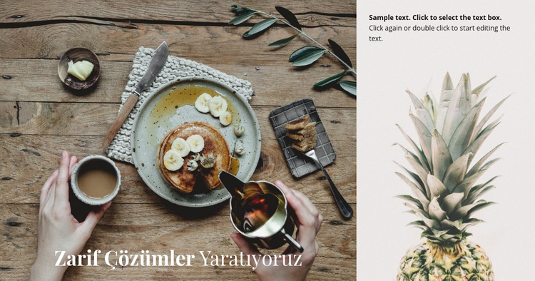 Zarif çözümler yaratıyoruz WordPress Teması