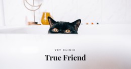 CSS Grid Template Column For True Friends