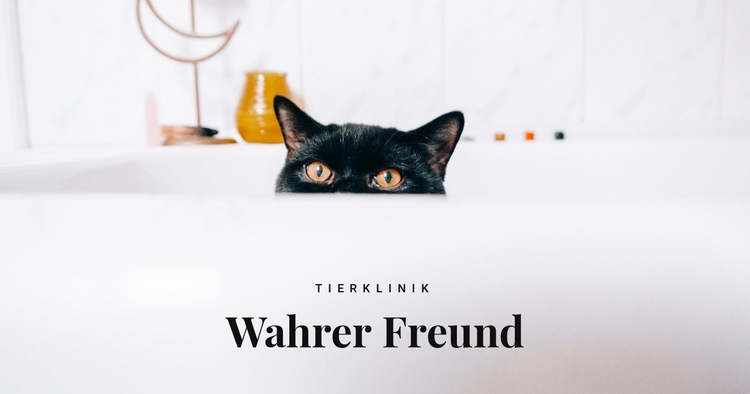 Wahre Freunde HTML5-Vorlage