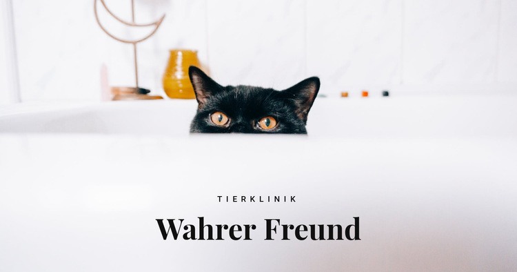 Wahre Freunde Website Builder-Vorlagen