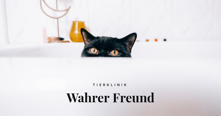 Wahre Freunde Landing Page
