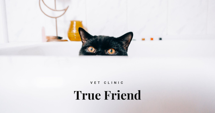 True friends Elementor Template Alternative