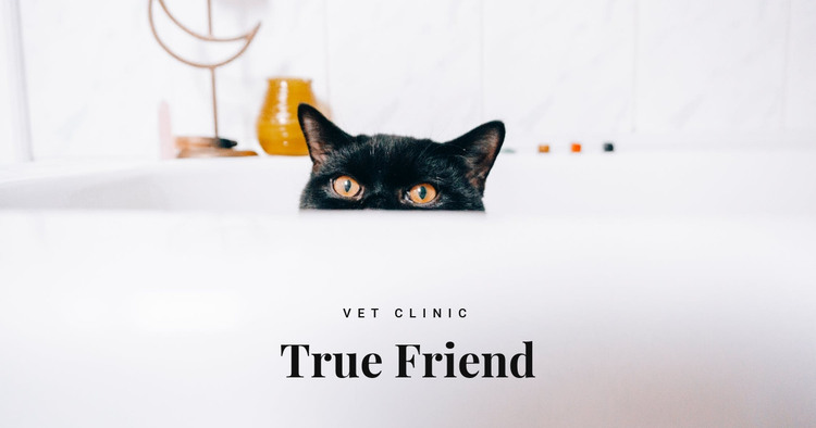 True friends Homepage Design