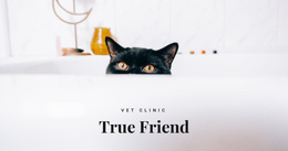 True Friends - Functionality Joomla Template