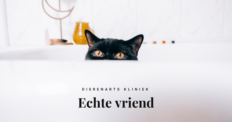 Echte vrienden Website mockup