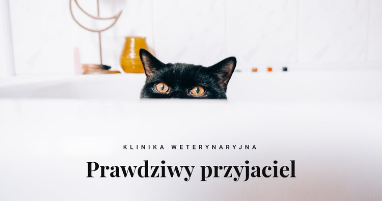 Prawdziwi przyjaciele Makieta strony internetowej