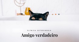 Amigos Verdadeiros - Design De Site Gratuito