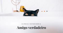 Amigos Verdadeiros