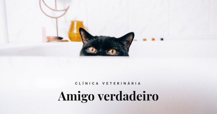 Amigos verdadeiros Template CSS