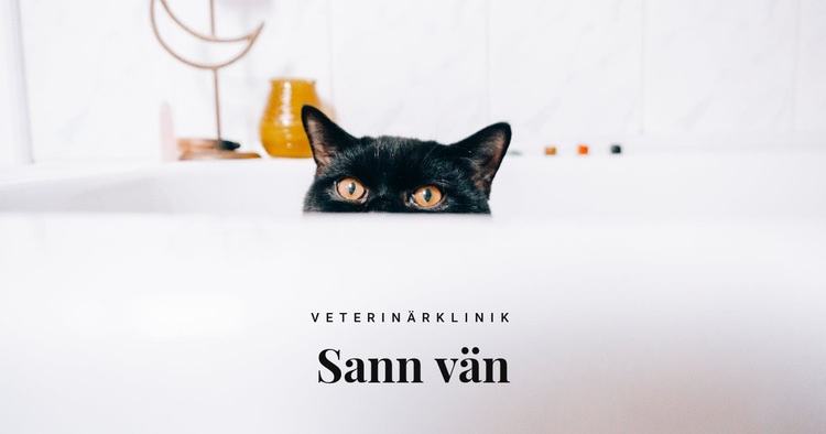 Sanna vänner Hemsidedesign