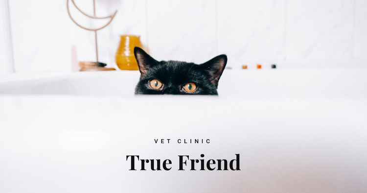 True friends Web Design