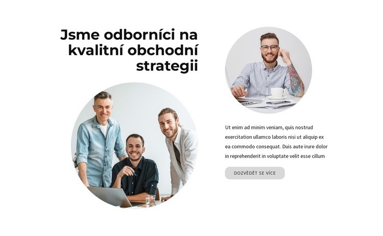 Jsme odborníci Šablona CSS