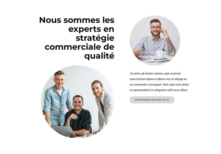 Nous sommes des experts Modèles de constructeur de sites Web