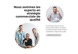 Nous Sommes Des Experts - HTML Website Creator