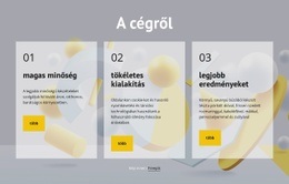 A Társaságról – Kész Webhelytéma