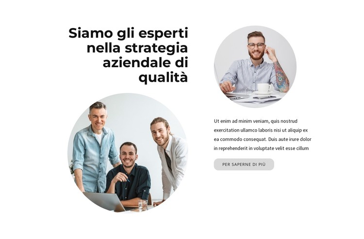 Siamo esperti Modello CSS