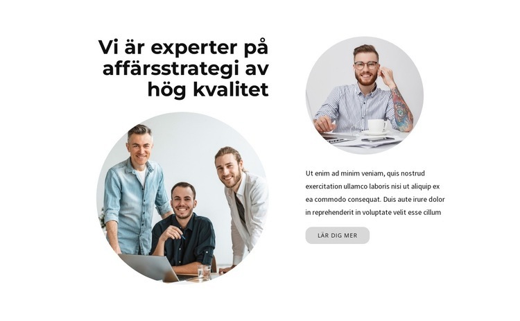 Vi är experter HTML-mall