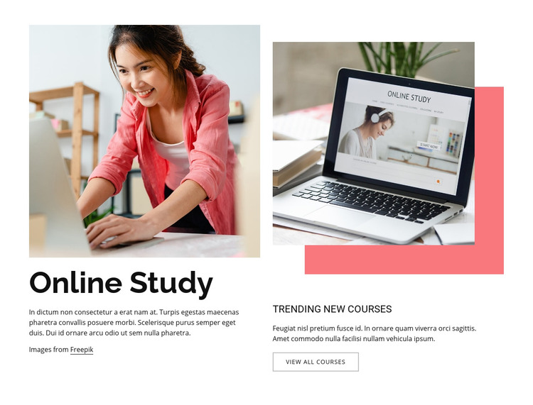 Online study Homepage Design