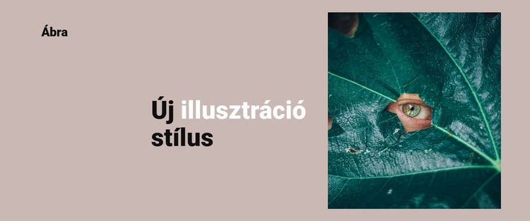 Új stílus az illusztrációban HTML Sablon