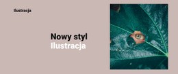 Nowy Styl Na Ilustracji - Łatwy W Użyciu Motyw WordPress