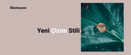 Resimde Yeni Stil - Kullanımı Kolay WordPress Teması