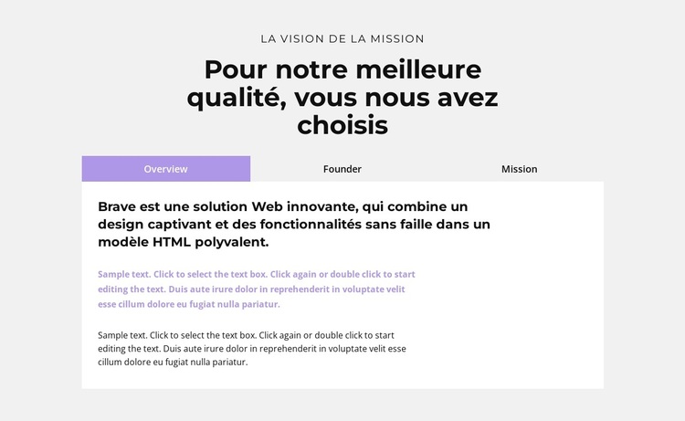 Onglets avec informations Thème WordPress