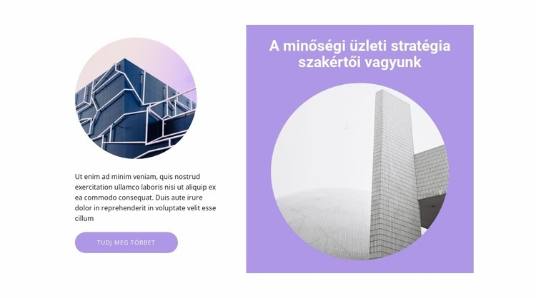 Modern stílusú épület Weboldal sablon