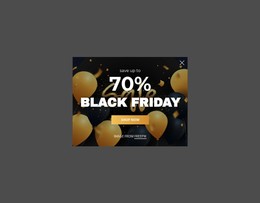 Black Friday Popup One Page