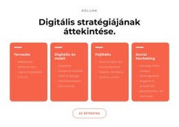 Menő Digitális Megoldások - Alap HTML-Sablon