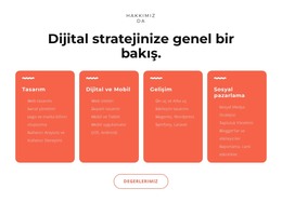 Harika Dijital Çözümler - Temel HTML Şablonu