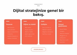 Harika Dijital Çözümler - En Iyi Web Sitesi Oluşturucu